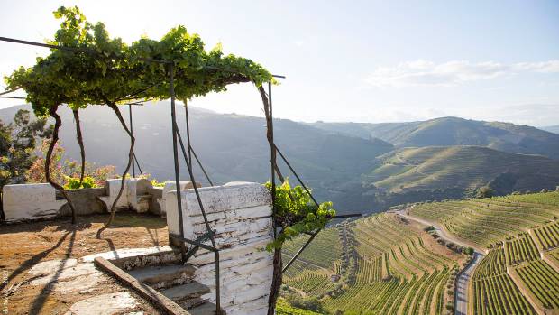 Quinta do Noval